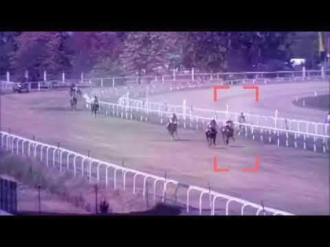WATHBA STALLIONS CUP - PLOIESTI RACECOURSE - 17/07/2022