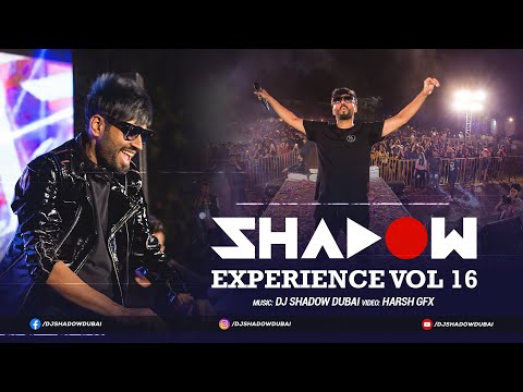 Year End 2020 Party Mix | Non Stop Bollywood, Punjabi, English Remix Songs | Shadow Experience 16