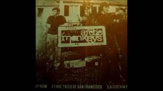 On the Run from the MI5  - Arctic Monkeys