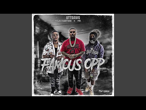 Famous Opp (feat. Projeckbabytwin & P4K)