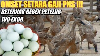 Download lagu Menggiurkan‼️ Keuntungan Beternak Bebek Petelur 100 Ekor mp3