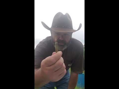 Maker Bullets .45-70 Review