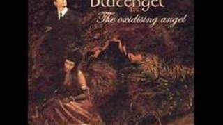 Blutengel - The Oxidising Angel