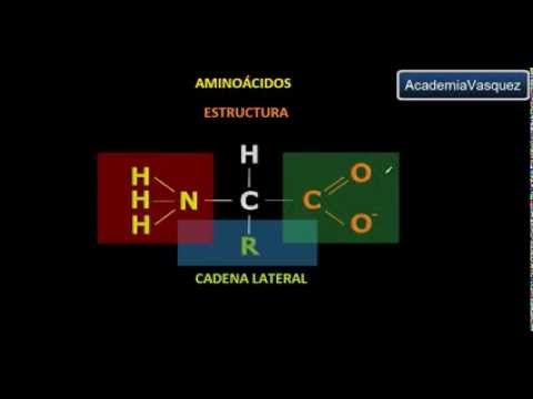 Amino acids