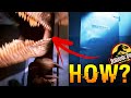 SOLVED How The Raptor REALLY Escaped The FREEZER In Jurassic Park