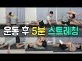 운동 후 5분 정적 스트레칭으로 마무리 해보세요ㅣMSG훈