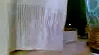 omg wt the hell PAPER BASS