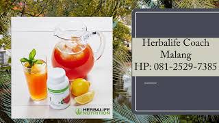 Download lagu TERJAMIN, WA 62 81-2529-7385, Herbalife indonesia mp3 Download lagu TERJAMIN, WA 62 81-2529-7385, Herbalife indonesia mp3