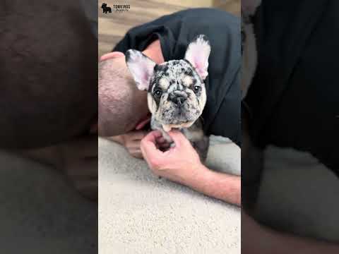 Video 1
