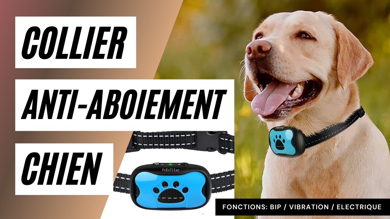 🐶 Test d'un COLLIER ANTI-ABOIEMENT pour CHIEN | Solution pour stopper les aboiements de chien 