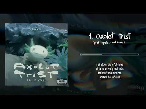 1. sankki - AXOLOT TRIST (Lyric Video)