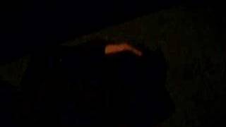 Stephen Sherwood DIES video