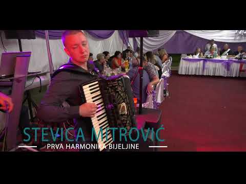 Stevica Mitrović - Prva harmonika Bijeljine -