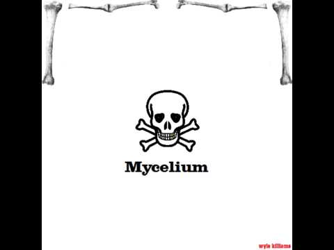 Mycelium - Prod Wyle Killiams