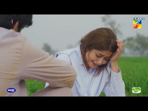 Aur Kitna Maro Gi Bechary Ko...!! #sajalali #hamzasohail - Zard Patton Ka Bunn - HUM TV