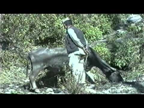 029 Richi + Agi 09 Bigutour Nepal 1990