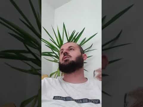 1945. Meditimi i Kuranit! (2)   Hoxhë Suad Shabani