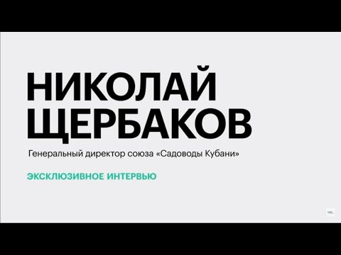 Обложка видео