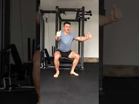 Isohold Squat