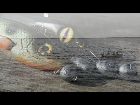 TRAILER - Gnadenlose Großgewässer 2