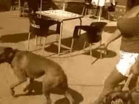 Jimi Hendrix - Ain't Nothin' Wrong With That