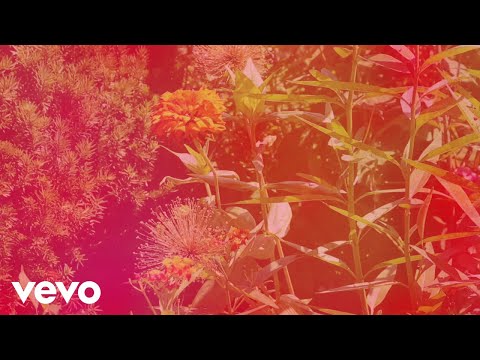 Chad Lawson - the sweetest sound (solo piano)