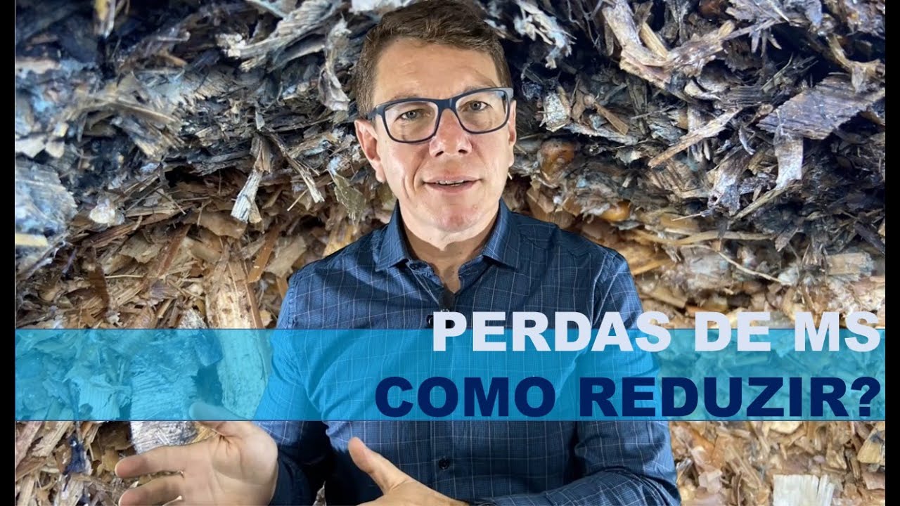 Qual a perda de matéria seca da silagem e como reduzi-la?