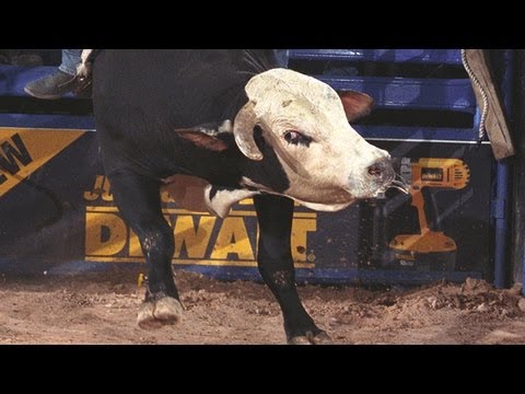 PBR Brand of Honor: Dillinger