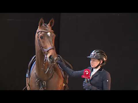 Pilothago | Hengstschau 2022 | Ferienhof Stücker