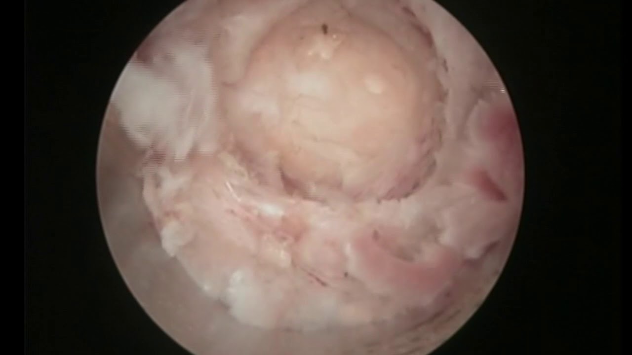 Edgar Martin Castañeda Guardia-5