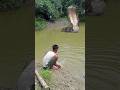 Snake Video Mp4