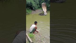 Download lagu Snake video 🐍.mp4 mp3