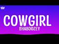 Shaboozey Cowgirl Lyrics