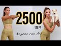 Workout that ANYONE Can Do! / 2500 Steps At Home / Easy On Your Joints Workout