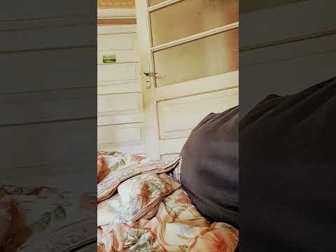 2023. gada 16. jūlijs