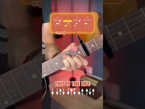 This Is The Life - Amy Macdonald