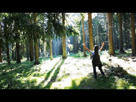 Svätoslav Hamaliar - Svätoslav Hamaliar - Rozdelení bratia