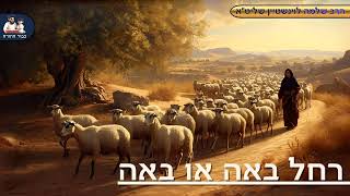 ''רחל באה או באה'' - הרב שלמה לוינשטיין שליט''א (פרשת ויצא) (הרב שלמה לוינשטיין) - התמונה מוצגת ישירות מתוך אתר האינטרנט יוטיוב. זכויות היוצרים בתמונה שייכות ליוצרה. קישור קרדיט למקור התוכן נמצא בתוך דף הסרטון