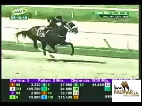 LA RINCONADA 5 CARRERA, DOMINGO 09 DE OCTUBRE DEL 2016