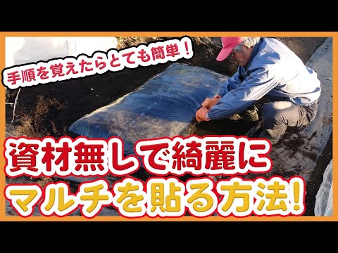 最良のマルチは何ですか なぜ考慮されたタスクが健康な植物の豊作を保証するのでしょうか