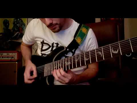 SWEAVER - Triumph (8 String Song)