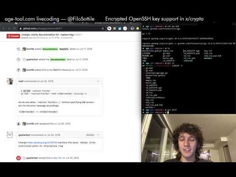 Livecoding age in Go on Twitch — Session 5