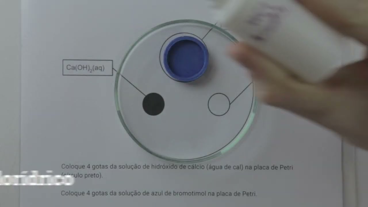 Propriedades do Gás Carbônico - Experimento em Microescala