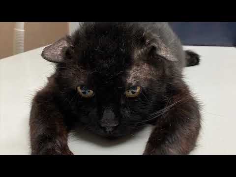 M CCC NTXGD 9 23 2021 2