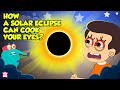 Don T Look At The Solar Eclipse How A Solar Eclipse Can Cook Your Eyes The Dr Binocs Show