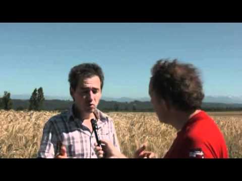 Fabrice Bernissan, Nosauts de Bigòrra