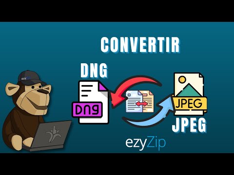 Comment convertir un DNG en JPEG en quelques secondes !