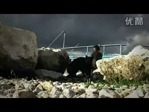 Hoşçakal - Faruk Korkmaz
