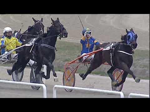 Napoli Trotto 19/02/2023 - 2ª corsa