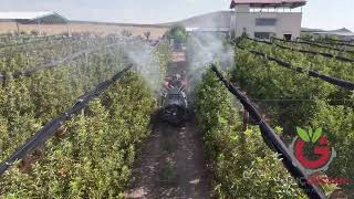 Atomiseur port&eacute; Gen&ccedil;g&uuml;&ccedil;san Turbomatik Armut Fan neuf | Image 4 - Agroline